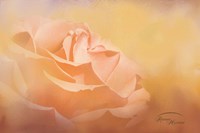 Flowers in Heaven Fine Art Print