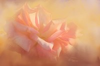 Light is Life Fine Art Print