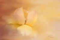 The Sun Shines on All Fine Art Print