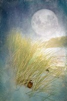 Moonlight Beach Fine Art Print