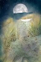 Moonlight Path Fine Art Print