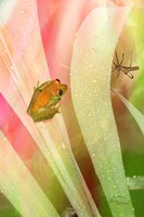 Got My Eye On You Fine Art Print