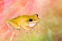 Waiting for Lunch Fine Art Print