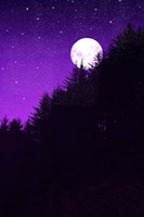 Autumn Moon Fine Art Print