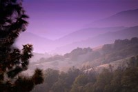 Misty Valley Fine Art Print