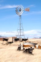 On a Lazy Afternoon Fine Art Print