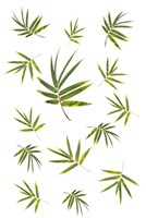 Bamboo Leaf Collection Fine Art Print