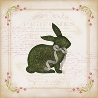 Bunny Fine Art Print