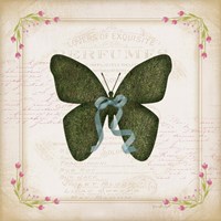 Butterfly Fine Art Print