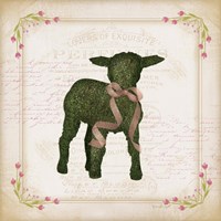 Lamb Fine Art Print