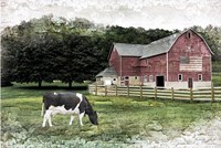 Cow Fine Art Print