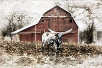 Longhorn Fine Art Print