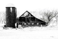 Barn II Fine Art Print