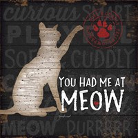 You Had Me at Meow Fine Art Print