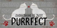 Purrfect Fine Art Print