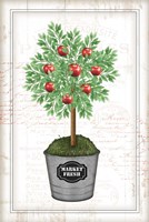 Apple Topiary Fine Art Print