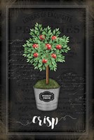 Apple Topiary Framed Print