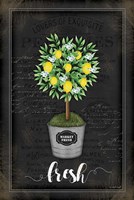 Lemon Topiary Framed Print