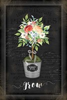 Floral Topiary IV Fine Art Print
