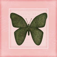 Butterfly - Pink Fine Art Print