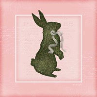 Bunny - Pink Fine Art Print