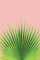 Pink Palm I Fine Art Print