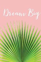 Dream Big Fine Art Print