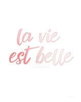 La Vie Est Belle Fine Art Print