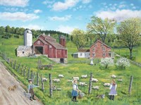 That's My Lamb Fine Art Print