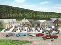 Colorful Choices Fine Art Print