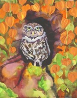 Owl with Asian Lanterns Fine Art Print