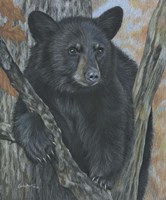 Backyard Visitor Fine Art Print