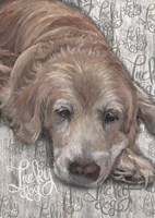 Lucky Dog Golden Fine Art Print