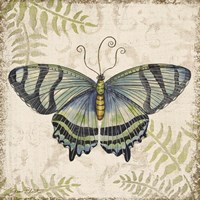 Butterfly Daydreams - D Fine Art Print