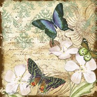 Inspirational Butterflies - A Framed Print