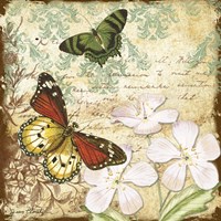 Inspirational Butterflies - B Fine Art Print