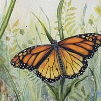 Botanical Beauties A Fine Art Print