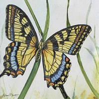 Botanical Beauties B Fine Art Print