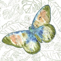 Butterfly And Palms Fine Art Print
