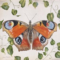 Orange Dream Butterfly Fine Art Print