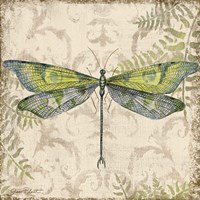 Dragonfly Daydreams - C Framed Print