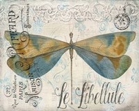 Lovely Dragonfly Fine Art Print