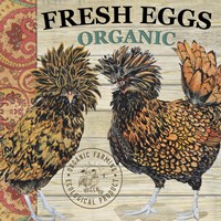 Polish Hen - A Fine Art Print