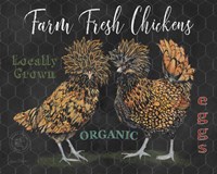 Polish Hen - E Fine Art Print