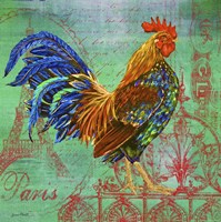 Le Rooster - D Framed Print