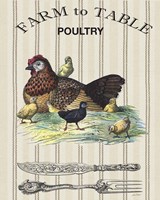 Farm to Table - D Fine Art Print