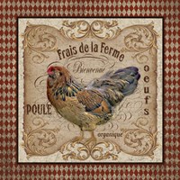 Old World Poule A Fine Art Print