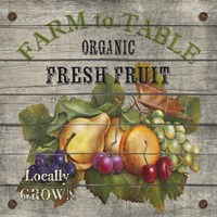 Farm to Table - Fresh Fruit Fine Art Print