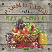 Farm to Table - Fresh Vegetables Framed Print