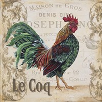 Le Coq 4 Framed Print